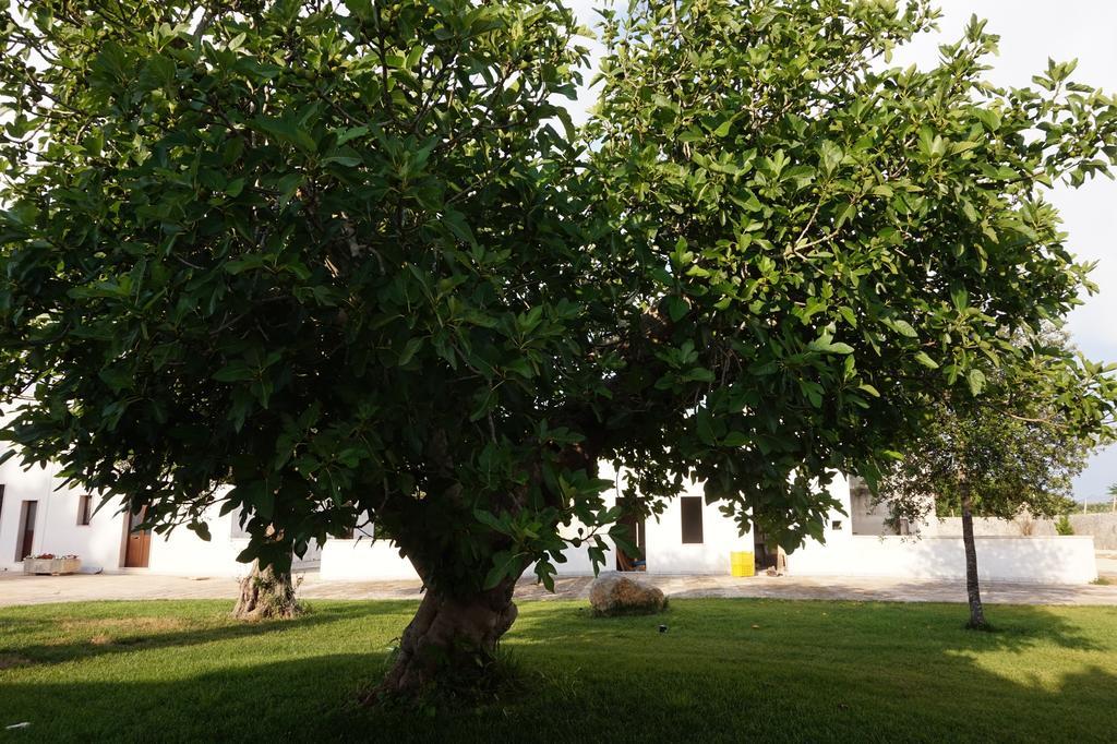 Вілла Masseria Pappo Копертіно Екстер'єр фото